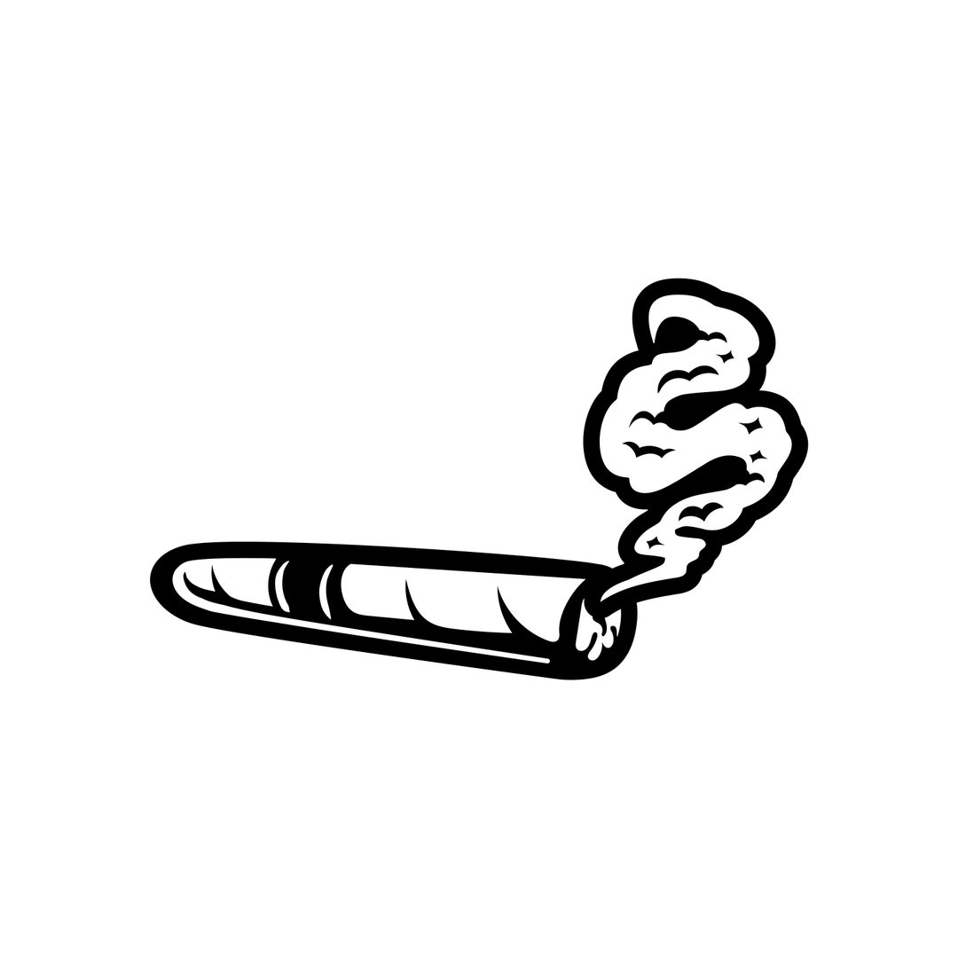 Cigar / Photographer / Dslr SVG / SVG Cut File / Car Decal SVG