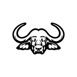 Buffalo / Fotograf / dslr SVG / Plik SVG Cut / Naklejka samochodowa SVG / Natychmiastowe pobieranie / Wydrukowalny wektorowy klipart / Sylwetka i Cricut