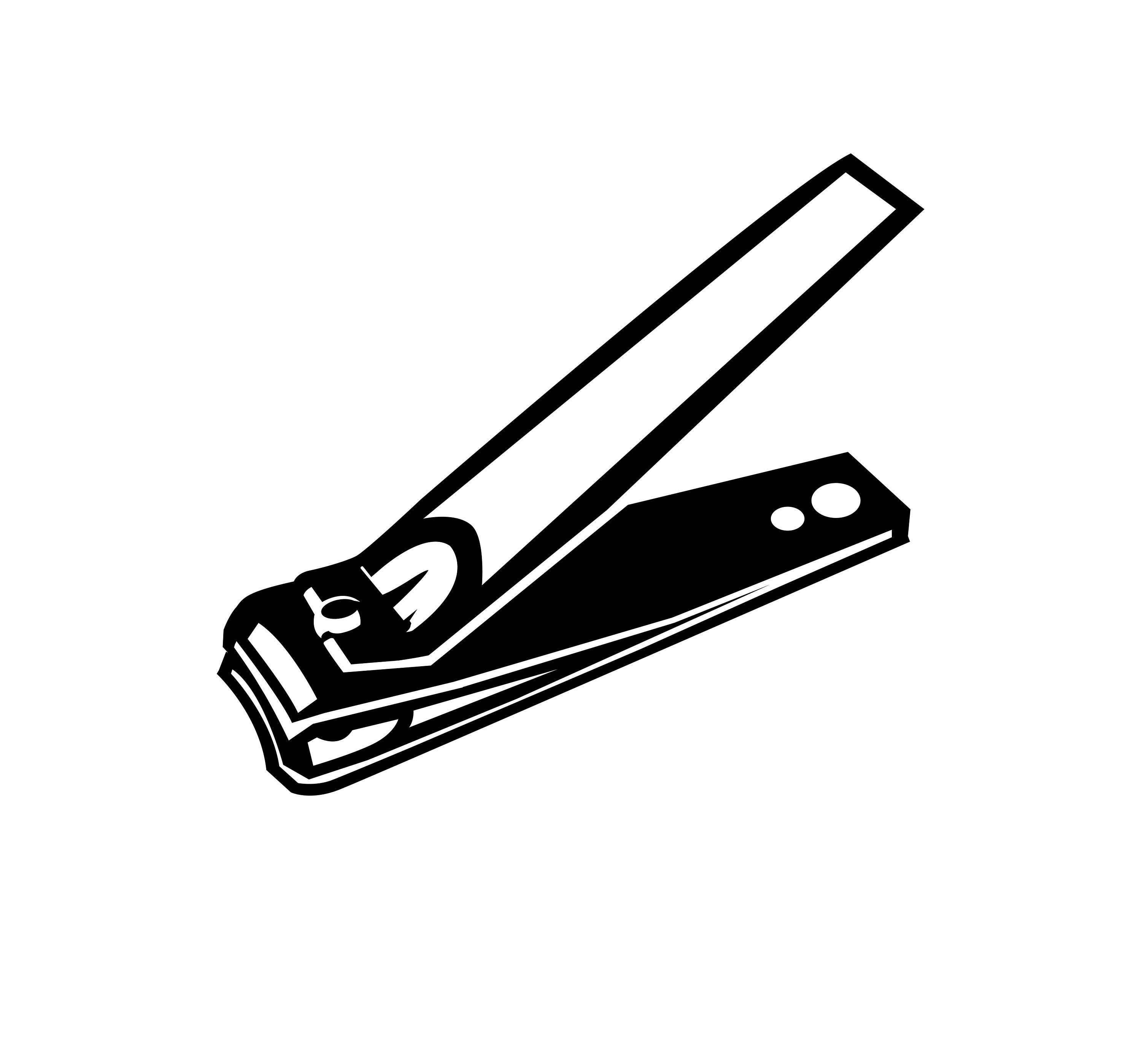 Nail, pin - cartoon vector and illustration, black and white, hand drawn,  sketch style, isolated on white background.:: tasmeemME.com