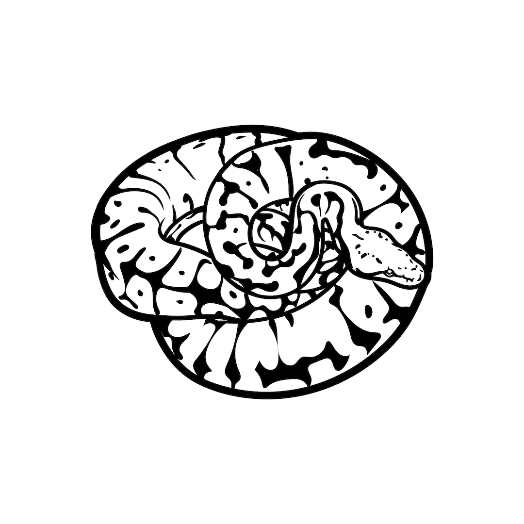 Python/ Photographer / Dslr SVG / SVG Cut File / Car Decal SVG ...