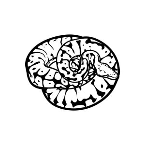 May include: Black and white line drawing of a curled up snake with a spotted pattern.
