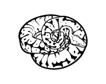 Python/ Fotograf / dslr SVG / Plik do cięcia SVG / Naklejka samochodowa SVG / Natychmiastowe pobieranie / Wydrukowalny wektorowy klipart / Sylwetka i Cricut