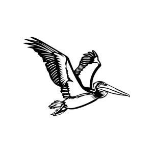 Pelikan / Fotograf / dslr SVG / SVG geschnittene Datei / Auto Aufkleber SVG / Instant Download / printable Vektor ClipArt / Silhouette & Cricut