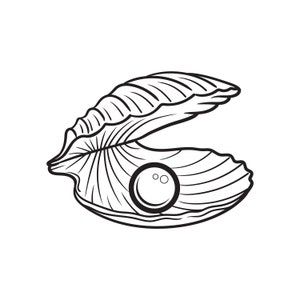 Clam / Photographer / dslr SVG / SVG Cut File / Car Decal SVG / Instant Download / Printable vector clip art / Silhouette & Cricut