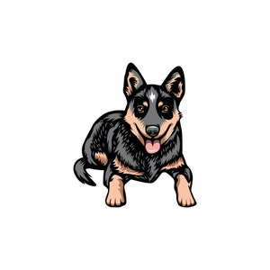 Australijski niebieski heeler SVG / Plik do cięcia SVG / Naklejka samochodowa SVG / Natychmiastowe pobieranie / Wydrukowalny wektorowy clipart / Sylwetka i Cricut