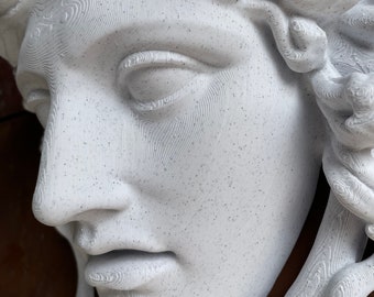 Medusa Head Sculpture - Greek Mythology Sculpture Antique Replica - wall mountable for home or office decor