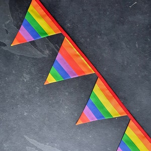 Handmade Rainbow bunting , Pride Bunting, Pride Decoration, Pride Flag, LBGTQ Decorations, Party Decor image 6