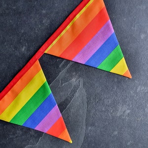 Handmade Rainbow bunting , Pride Bunting, Pride Decoration, Pride Flag, LBGTQ Decorations, Party Decor image 3