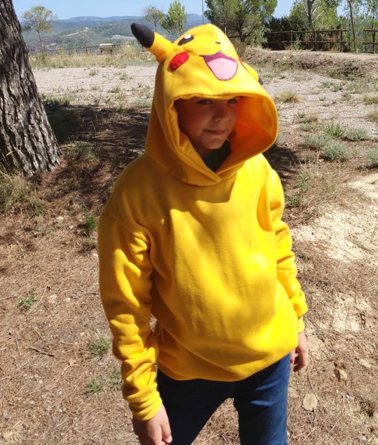 pokemon hoodie