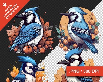 Bird Clipart Bluejay Fall Clip Art Bundle Bird PNG Commercial Use Design Nature
