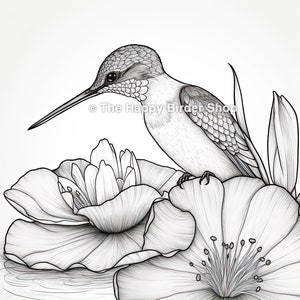 Hummingbird Coloring Page | Printable JPG | Instant Download | Adult Coloring | Bird Illustration | Nature Art | Bird Nerd | Nature Gifts