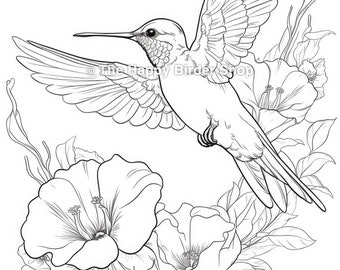 Hummingbird Coloring Page Printable Bird JPG Hummingbird Adult Coloring Sheet Hummingbird JPG Coloring Page