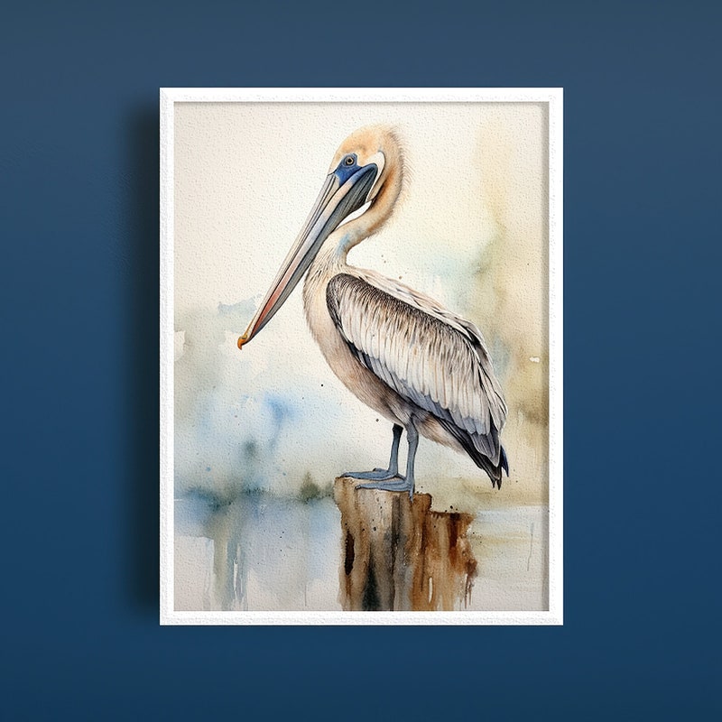 Pelican Watercolor - Etsy