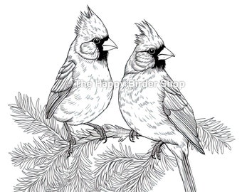 Coloring Page Northern Cardinal Printable Bird Art Coloring Book Page Bird Gift Colouring Sheet Adult Nature