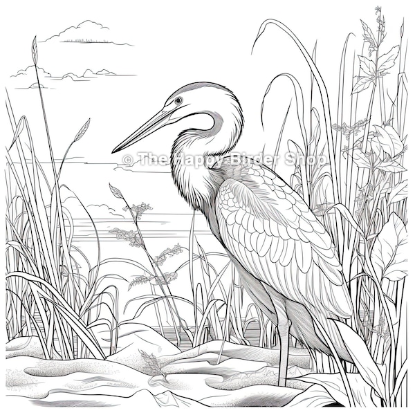 Blue Heron Coloring Page Bird Printable Nature Art Therapy Stress Relief Adult Coloring Pages Great Blue Heron