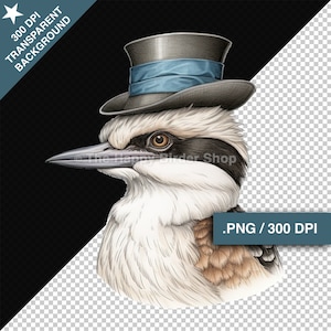 Kookaburra Clipart Kingfisher Bird Clipart Kookaburra Clip Art Bird Clipart Kingfisher