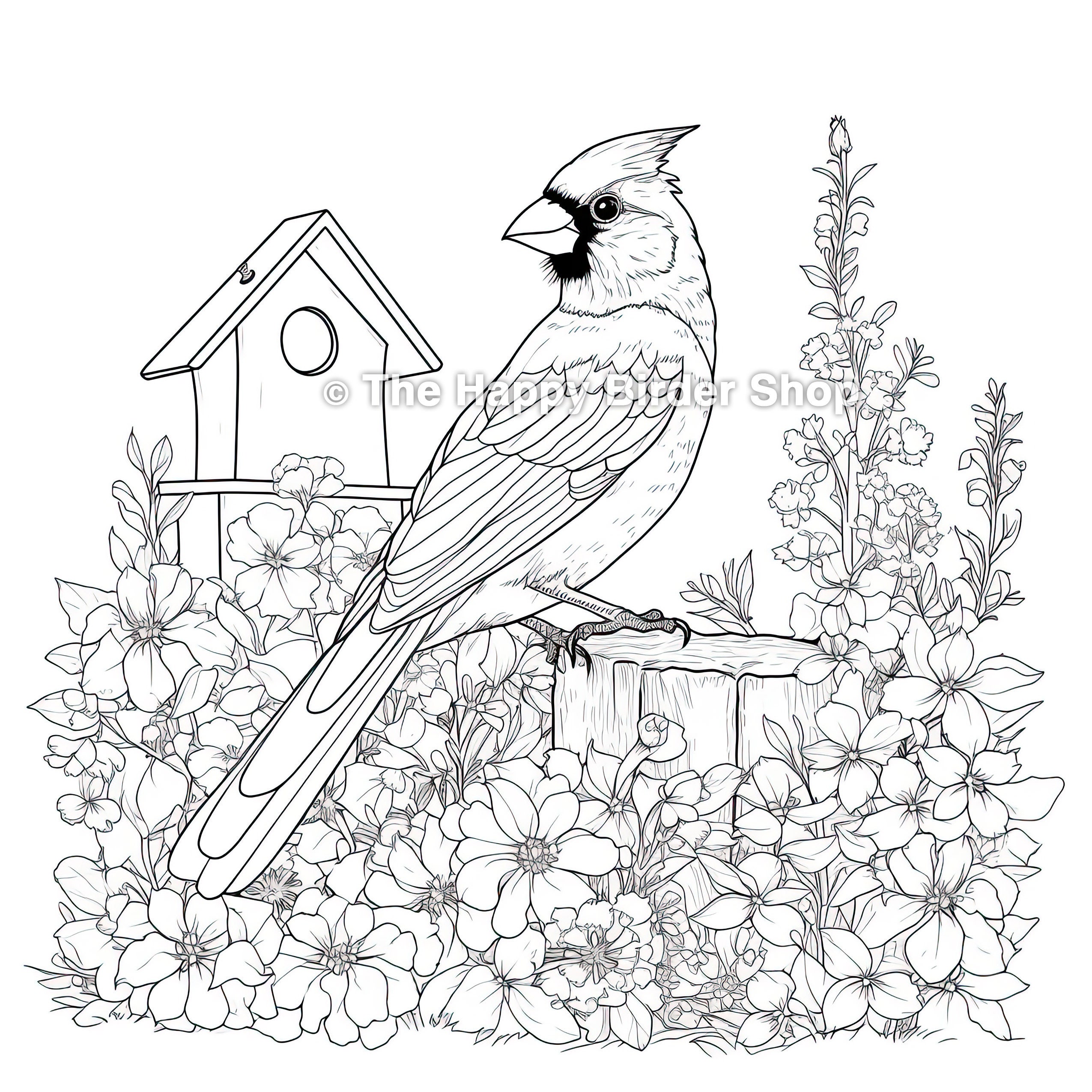 10 Bold Cardinal Bird Coloring Pages for Nature Lovers
