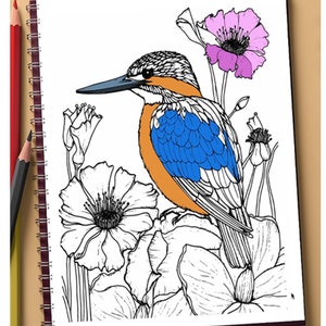 Kingfisher Coloring Page Printable Bird Art Bird Coloring Book Adult