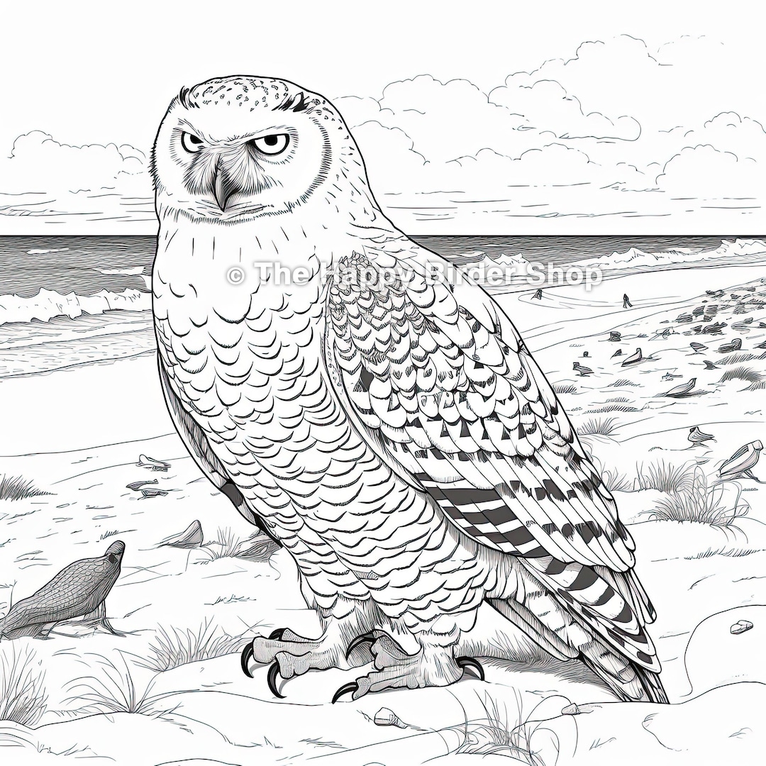 Snowy Owl Coloring Book Page Printable Adult Coloring Page Instant