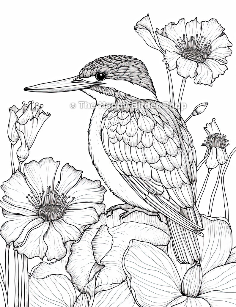 Kingfisher Coloring Page Printable Bird Art Bird Coloring Book Adult