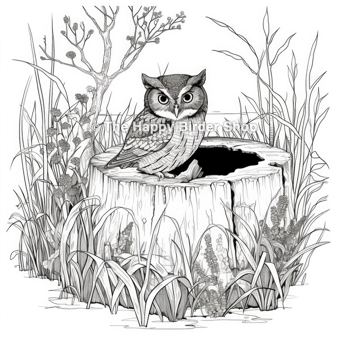 Eastern Screech Owl | Coloring Page | Printable JPG | Adult Coloring | Bird Illustration ...