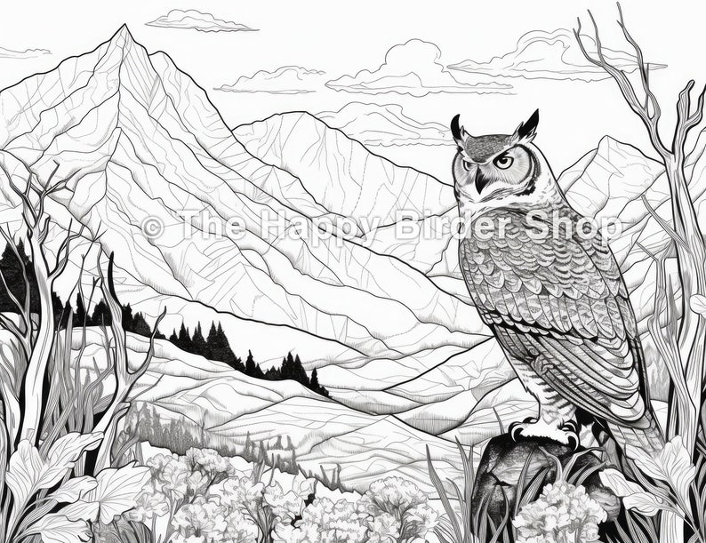 Great Horned Owl Coloring Page Printable JPG 300 DPI Bird Lovers Nature