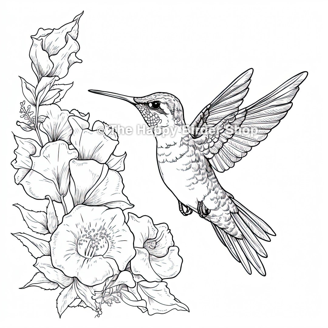Hummingbird Coloring Book Page, Birds, Bird Nerd,bird Gifts,fun Bird Gifts,bird Lovers, Nature, Adult Coloring Book, Stress & Anxiety Relief - Etsy