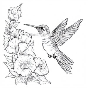 Hummingbird coloring book page, birds, bird nerd,bird gifts,fun bird gifts,bird lovers, nature, adult coloring book, stress & anxiety relief