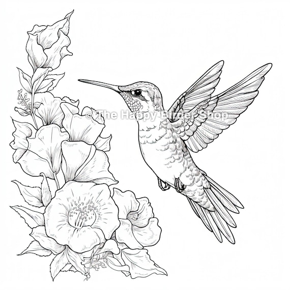 Bird Coloring Book: Amazing Coloring Books of Birds - Fun Coloring