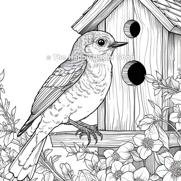 Eastern Bluebird | Coloring Book Page | Printable JPG | Instant Download | Adult Coloring I Bird Illustration | Nature Art | Stress Relief