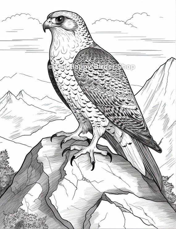 ハヤブサ、ぬり絵、鳥好きへのギフト、野生動物アート、印刷可能