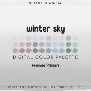 Winter Sky Digital Color Palette - Color Chart | Goodnotes Tool | iPad Procreate | Digital Download | Winter Color Palette | HEX Codes