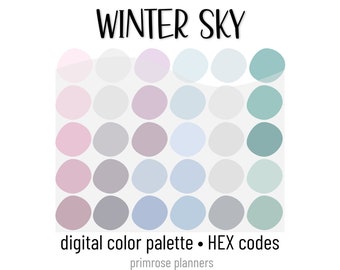 Winter Sky Digital Color Palette - Color Chart | Goodnotes Tool | iPad Procreate | Digital Download | Winter Color Palette | HEX Codes