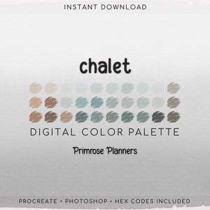 Apres Ski Procreate Palette & Photoshop Swatches, Winter Chalet Aesthetic, Muted Beige Brown Aqua Blue, Hex Codes