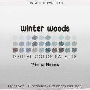 Winter Woods Digital Color Palette - Color Chart | Goodnotes Tool | iPad Procreate | Digital Download | Winter Color Palette | HEX Codes