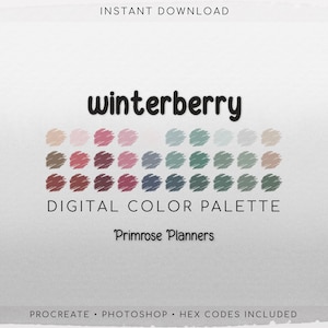 Winterberry Digital Color Palette - Color Chart | Goodnotes Tool | iPad Procreate | Digital Download | Holiday Color Palette | HEX Codes
