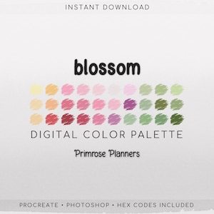Paleta de Cores Digital Blossom - Tabela de Cores | Ferramenta Goodnotes | iPad Procreate | Download Digital | Paleta de Cores da Primavera | Códigos HEX | Rosa