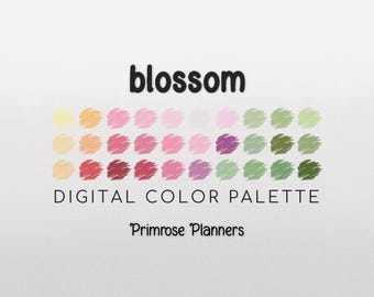 Blossom Digital Color Palette - Color Chart | Goodnotes Tool | iPad Procreate | Digital Download | Spring Color Palette | HEX Codes | Pink