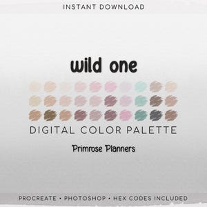 Wild One Digital Color Palette - Color Chart | Goodnotes Tool | iPad Procreate | Digital Download | Pink and Tan Color Palette | HEX Codes