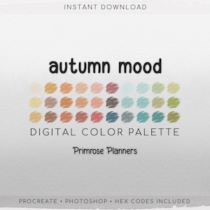 Autumn Procreate Palette & Photoshop Swatches | Orange Mauve Teal HEX Codes | Multi-Use Digital Color Files