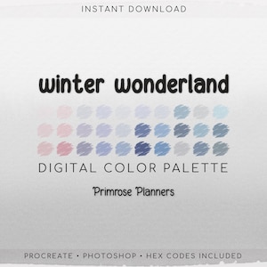 Winter Wonderland Digital Color Palette - Color Chart | Goodnotes Tool | iPad Procreate | Digital Download | Color Palette | HEX Codes