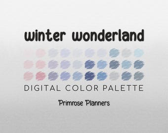 ウィンターワンダーランド デジタルカラーパレット - カラーチャート | Goodnotesツール | iPad Procreate | デジタルダウンロード | カラーパレット | HEXコード