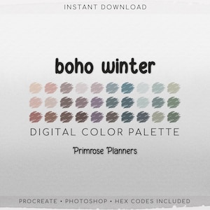 Paleta de colores digital Boho Winter - Tabla de colores / Herramienta Goodnotes / iPad Procreate / Descarga digital / Paleta de colores Boho / Códigos HEX