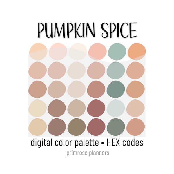 Pumpkin Spice Digital Color Palette - Color Chart | Goodnotes Tool | iPad Procreate | Digital Download | Fall Color Palette | HEX Codes