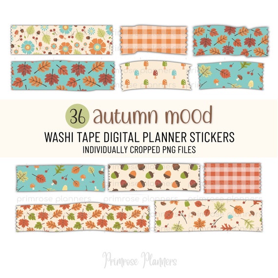 WINTER SNOWFLAKE Plaid Digital Washi Tape Stickers Washi Tape for  Goodnotes, Notability Winter Washi Tape for Digital Planners Clipart 