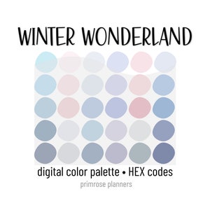 Winter Wonderland Digital Color Palette - Color Chart | Goodnotes Tool | iPad Procreate | Digital Download | Color Palette | HEX Codes