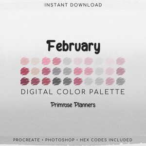 February Digital Color Palette - Color Chart | Goodnotes Tool | iPad Procreate | Digital Download | Pink and Gray Color Palette | HEX Codes