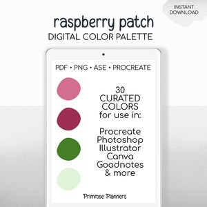 Raspberry Procreate-palett och Photoshop-färgprover, röd lila grön, sommarträdgårdsestetik, hexagonkoder bild 2