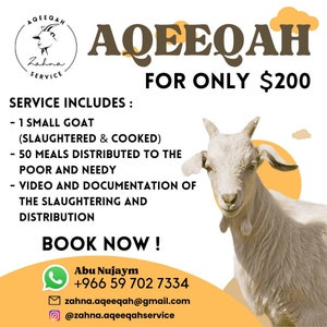 Servizio Aqeeqah economico, 200 dollari per 1 capra, aqeeqah per ragazzi e ragazze, pasti pronti per aqeeqah, beneficenza aqeeqah per i poveri e i bisognosi