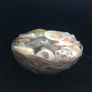 Basket of Sea Shells